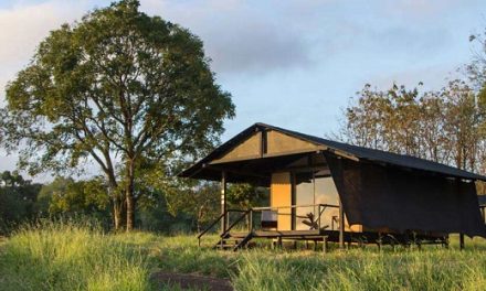 How to Find an Eco-Friendly Place to Stay While Traveling