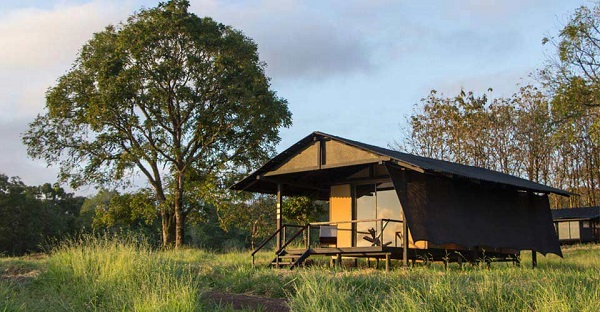 How to Find an Eco-Friendly Place to Stay While Traveling