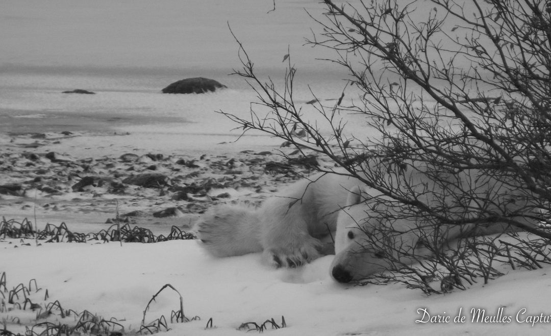 Wildlife Photo of the Week: Hurry Up and Wait