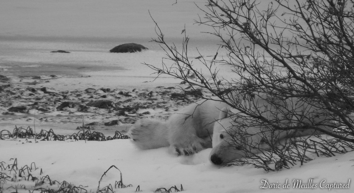 Wildlife Photo of the Week: Hurry Up and Wait