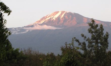 Sleepless in Tanzania | Olaf’s Corner