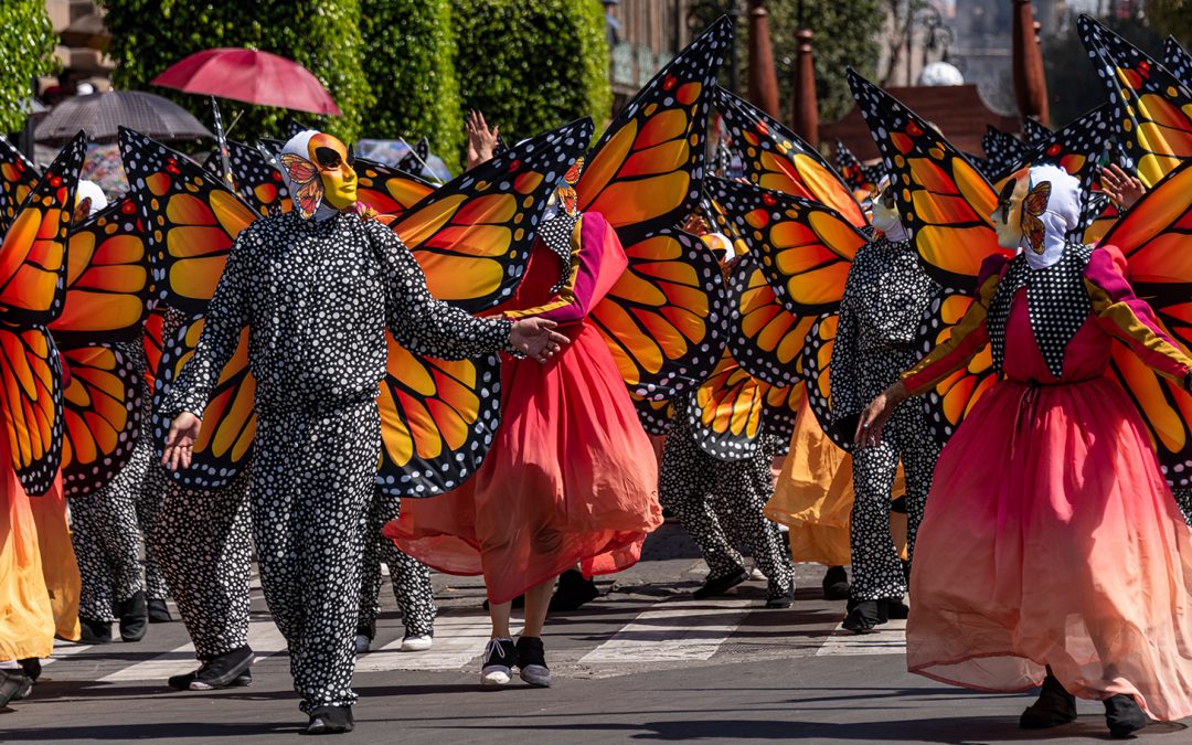 Mexico’s Monarchs Return for the Day of the Dead