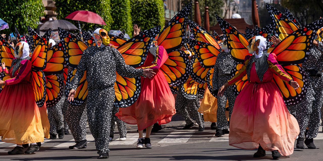 Mexico’s Monarchs Return for the Day of the Dead