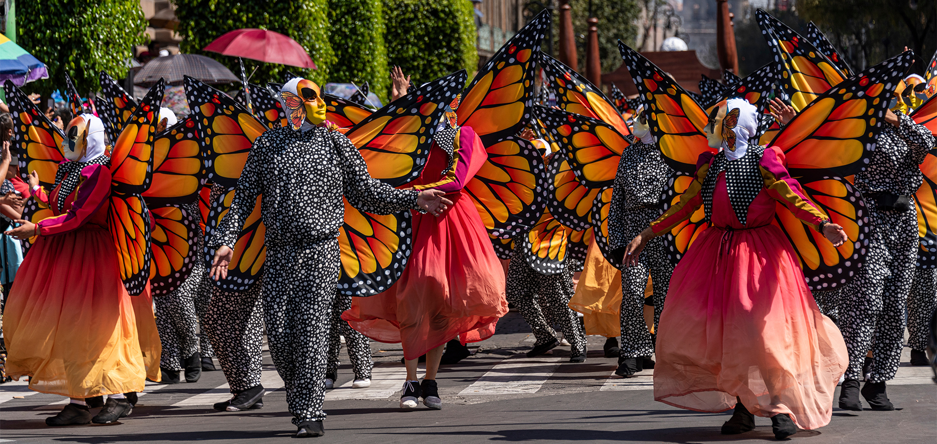 monarch butterfly parade day of the dead mexico