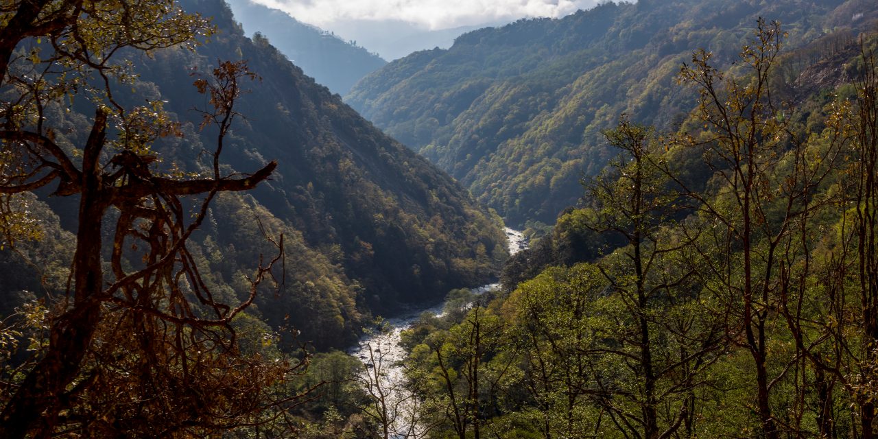Green Future for Bhutan’s Forests