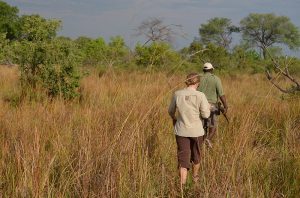 Hiking in the African savanna