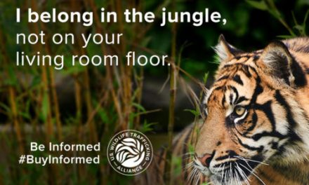 Be Informed. Buy Informed.