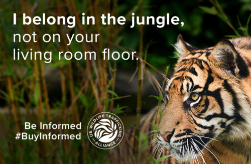 Be Informed. Buy Informed.