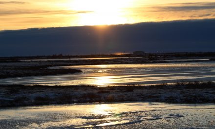 Churchill – The Challenges of Climate Change and Remote Living