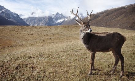 2017: Warm Fall, Cold Winter. It’s Still Climate Change.