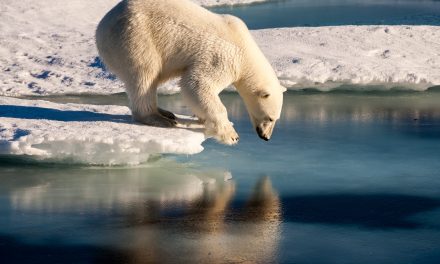 A Better Way to Bear It