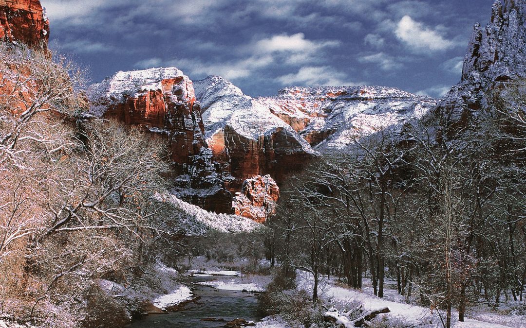 Video: The Reverence of Zion National Park