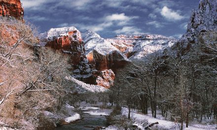 Video: The Reverence of Zion National Park