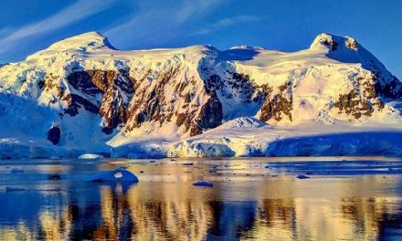 The Calm Before the Storm