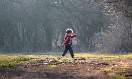 When Playing, Native American Children Are More Likely to Pretend to Be Wildlife