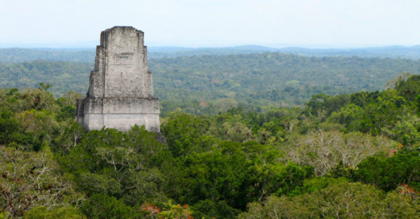 Tikal Ruins