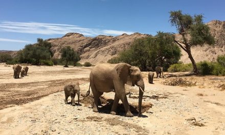 The Skeleton Coast, Namibia