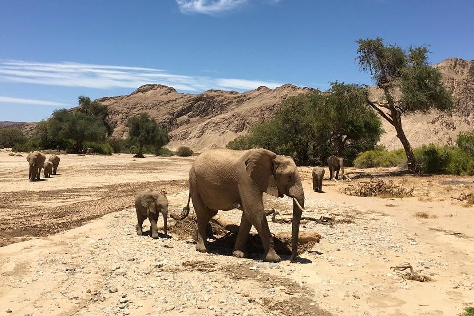 The Skeleton Coast, Namibia