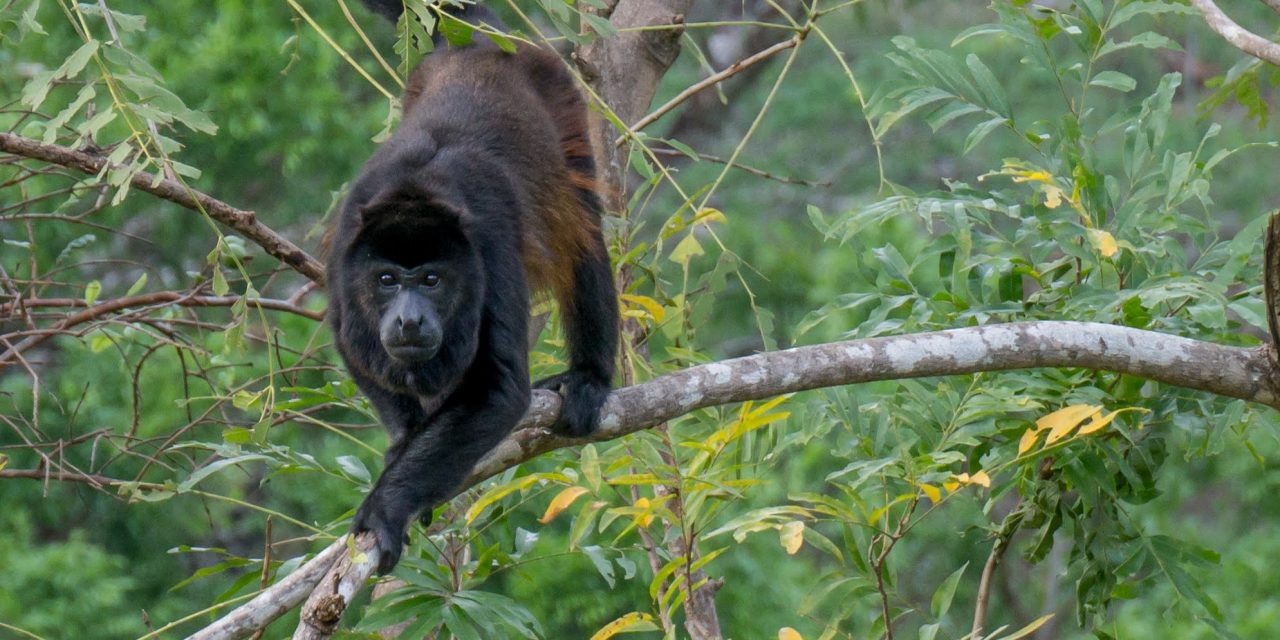 Five Highlights from Costa Rica