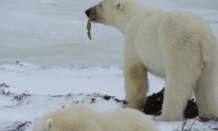 A Change of Perspective