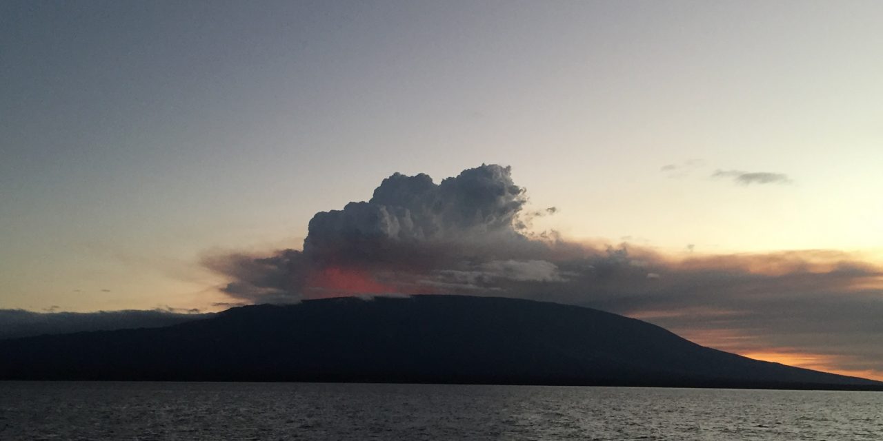 One Day in the Galápagos Islands 