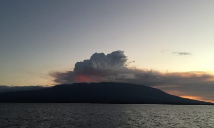 One Day in the Galápagos Islands 