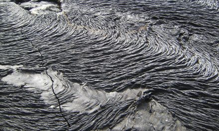 Visiting the Galapagos? Don’t Forget to Look Down.