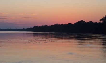 Traveler Story: The Great Amazon River Cruise