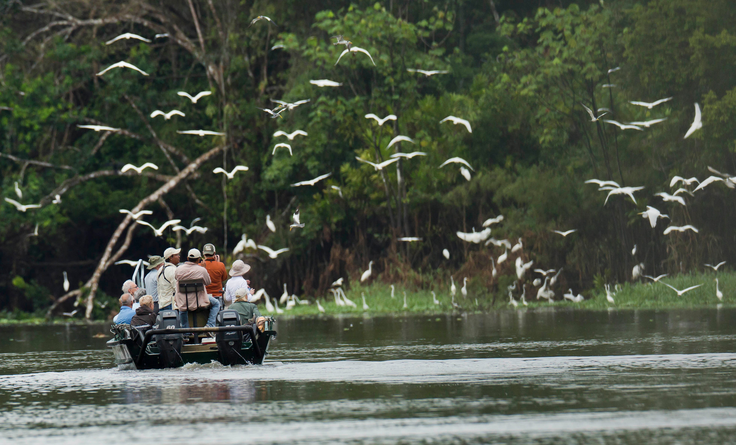 Amazon expedition