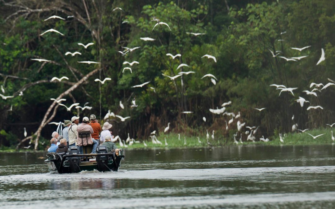 Visiting the Amazon Rainforest in Style: A Guide for Nature Lovers