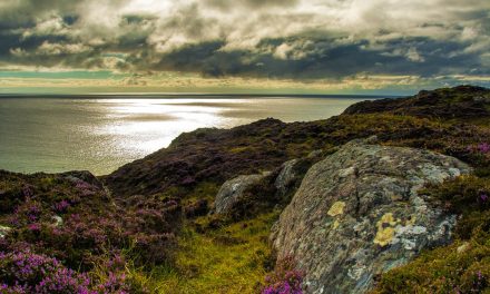 Plastic Straws Sent Packing from Scotland and Seattle