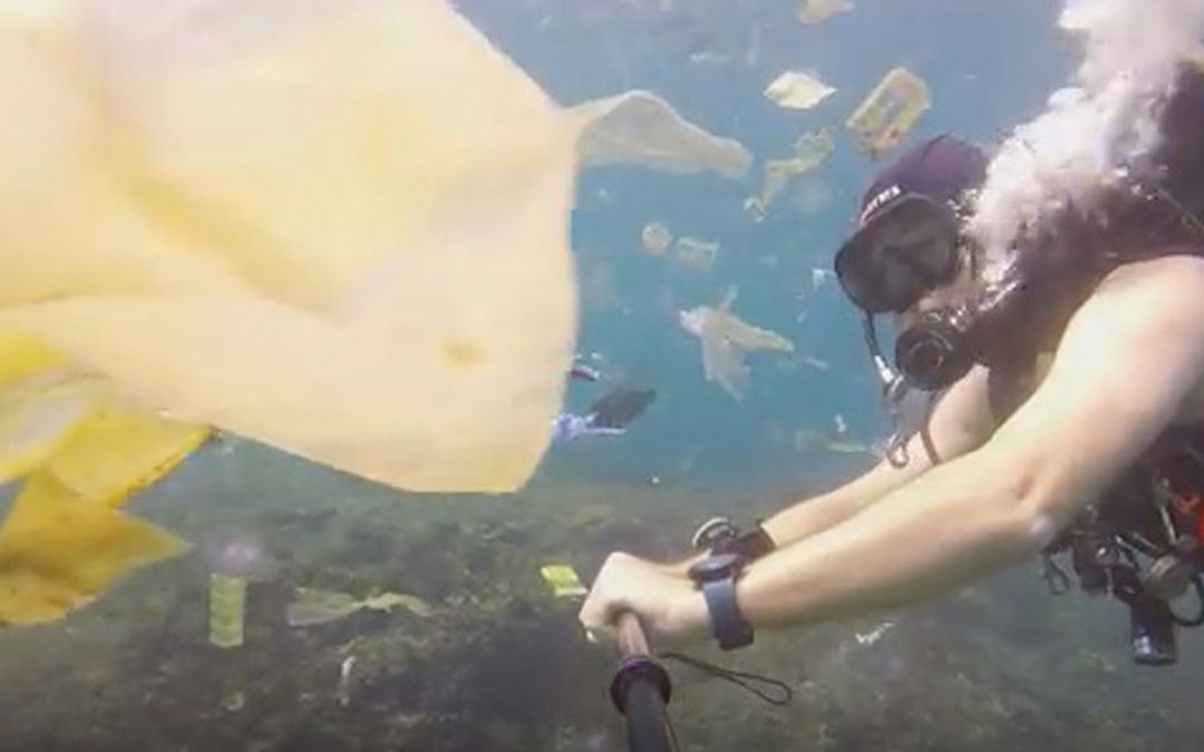 Video: Oceans and Plastics Pollution