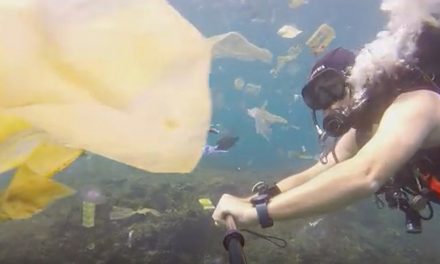 Video: Oceans and Plastics Pollution