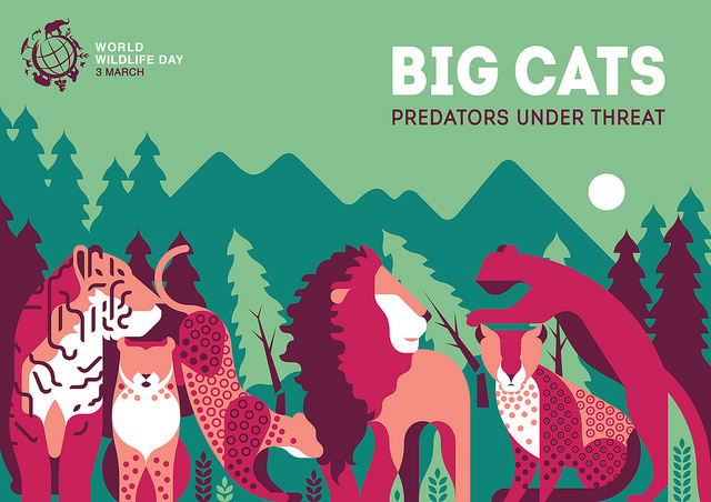 Big Cats: Predators Under Threat