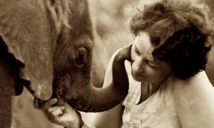 The Elephant Protector: Celebrating Daphne Sheldrick