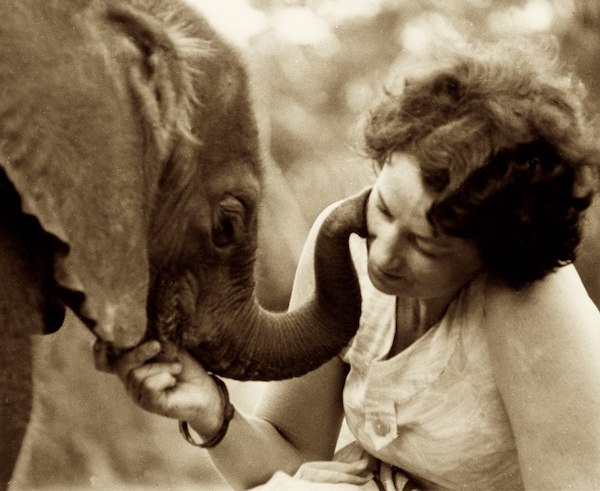 Daphne Sheldrick caring for a baby elephant