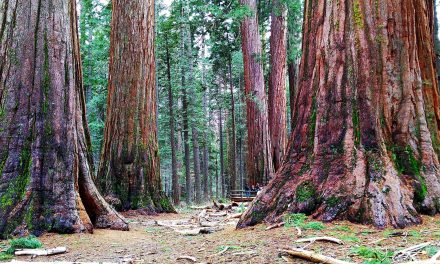 Your Social Media Photos May Ruin the Last Hidden Places