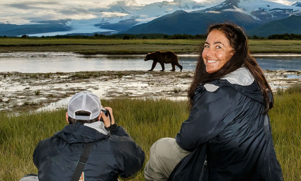 My Favorite Trip: Wild Alaska Grizzly Encounter
