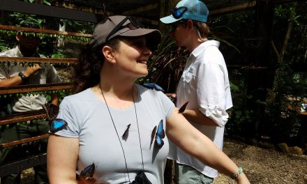 What’s in My Daypack: Belize Edition