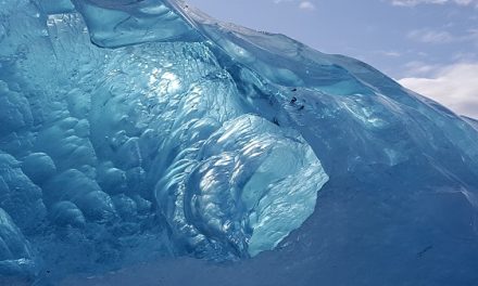 Traveler Photos: Back to Nature in the Arctic Riviera