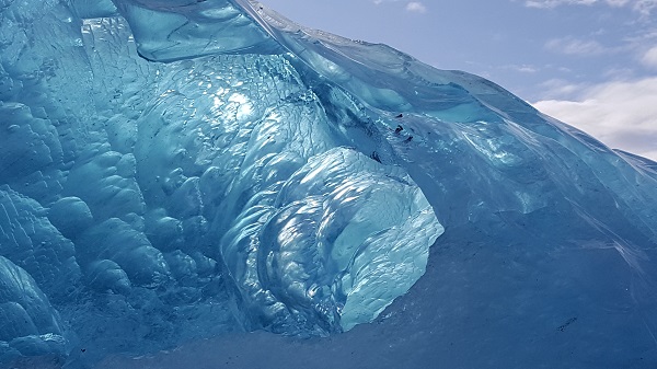 Traveler Photos: Back to Nature in the Arctic Riviera