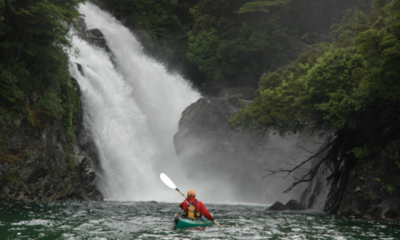 My World Travel Companion, Fred | Olaf’s Corner