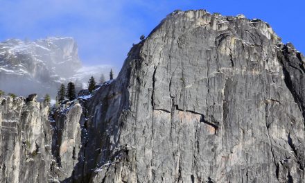 Learning from Libby Lightning in Yosemite National Park