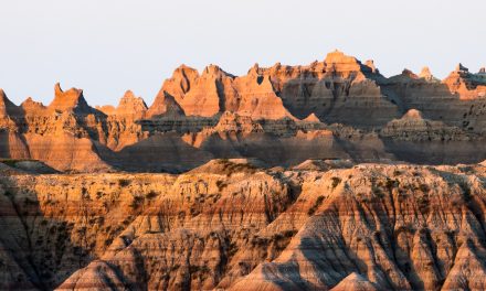 National Parks: Good for You and Our Planet