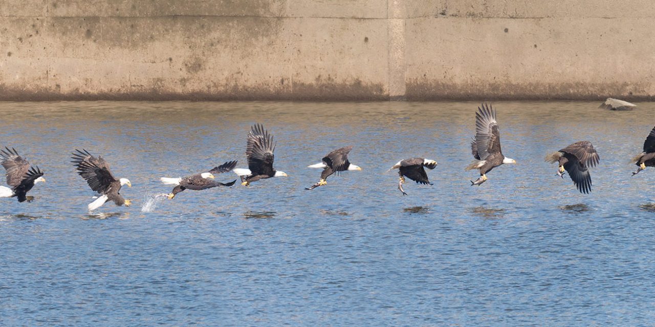 Photostacking a High-Speed Sequence