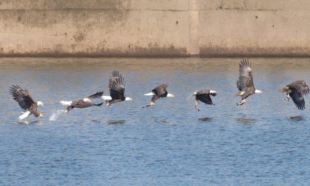 Photostacking a High-Speed Sequence