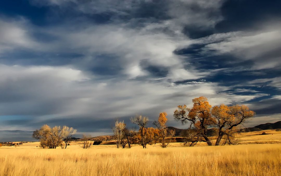 Video: The Pull and Pulse of Patagonia