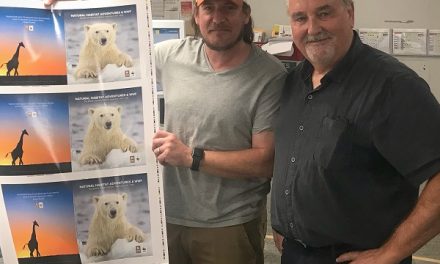 Our New 2019 Catalog: Change for the Better