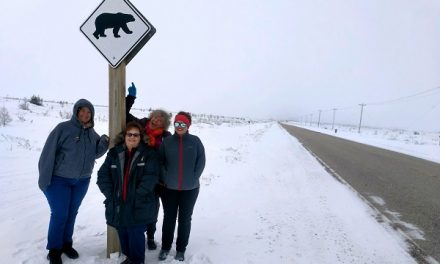 Traveler Story: Arctic Cultures Beyond Expectations