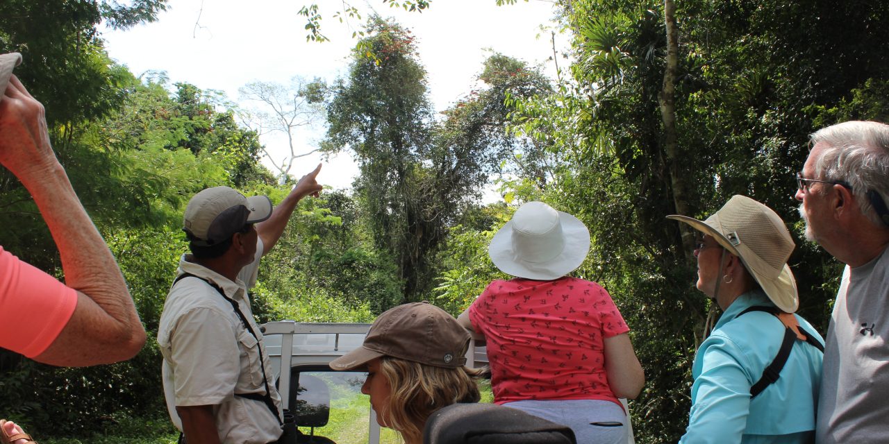 Conservation Inspiration in Belize